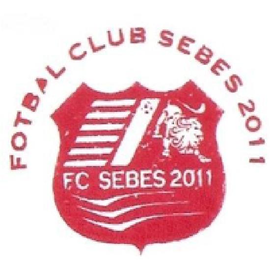 F.C.Sebes 2011